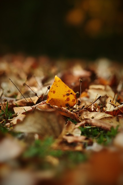 理决策往往 理决策往往