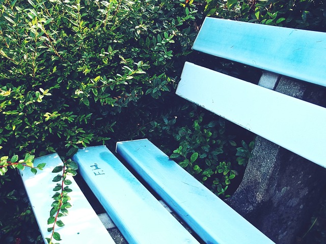 在未来比赛 在未来比赛