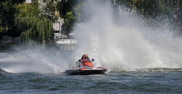 的比利時球 的比利時球