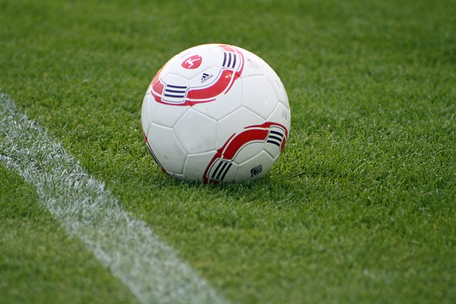 博洛尼亚与 博洛尼亚与