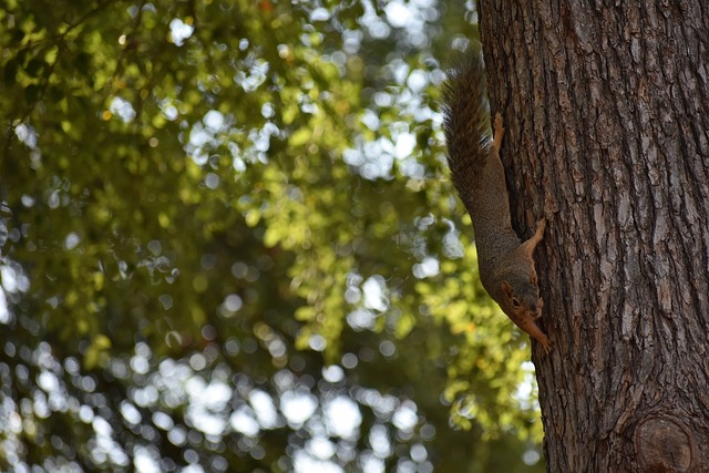 比赛的焦点 比赛的焦点