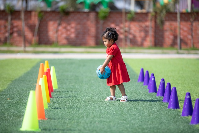 与策略运用 与策略运用