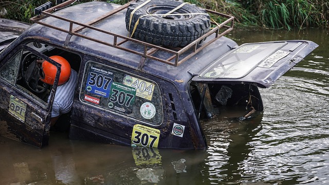布朗显然难 布朗显然难