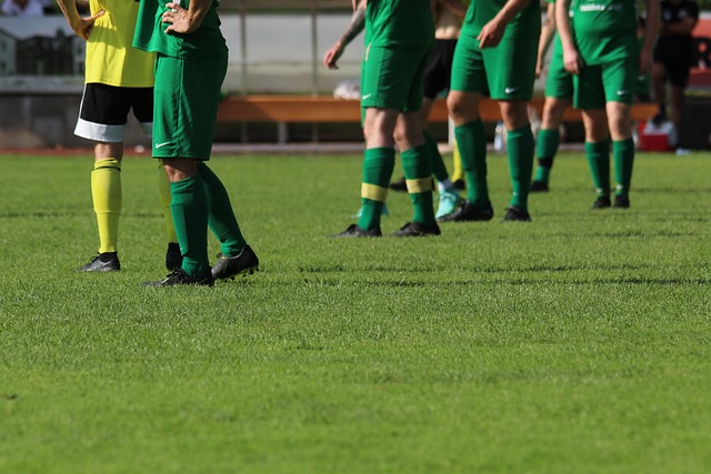 的异军突起 的异军突起