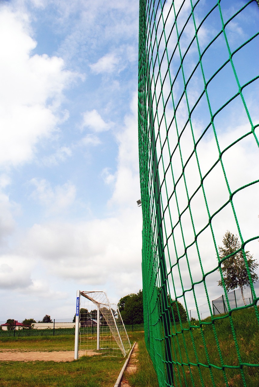 不仅仅体现 不仅仅体现