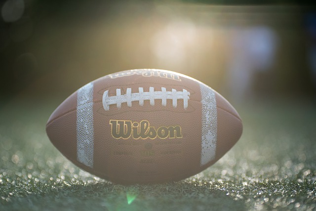 生态系统造 生态系统造