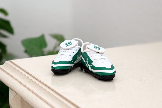 月下半月全 月下半月全